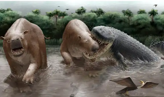 Unos cocodrilos gigantes dominaban la cadena alimenticia en Sudamérica hace 10 millones de años