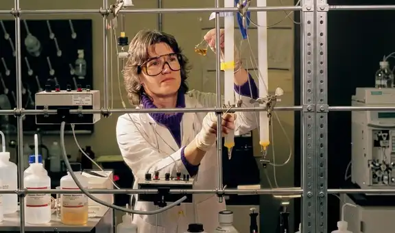 Un compuesto químico atravesó sus guantes en segundos: la historia de Karen Wetterhahn y el accidente que cambió la ciencia para siempre