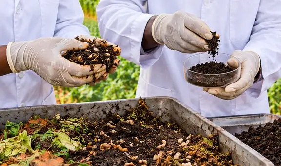 Científicos convierten residuos e insectos en fertilizante: sistema multiplica hasta 8,5 veces las cosechas y reduce químicos