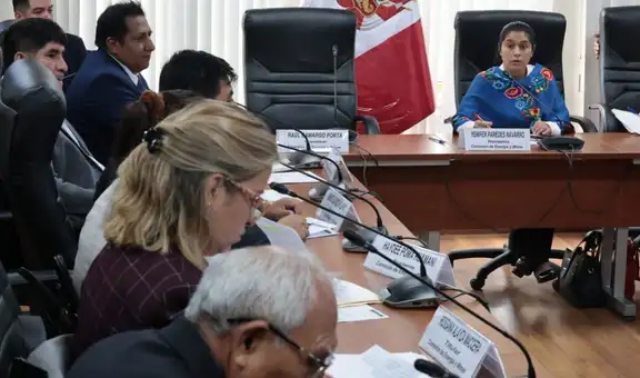 Comisión de Energía y Minas calificó de "no viable" dar facultades legislativas al Poder Ejecutivo en el sector
