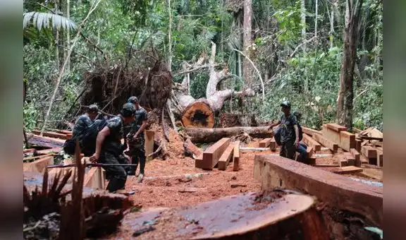 Mataron a 37 líderes amazónicos y otros 43 están bajo amenaza
