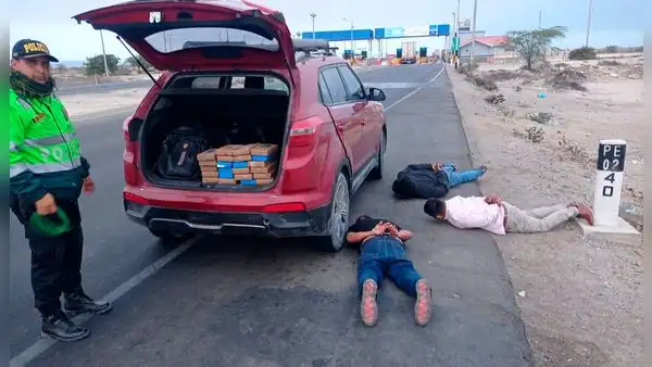 Piura: droga era camuflada en ‘ladrillos’ con sello de whisky escocés
