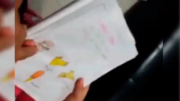 Vía Facebook: niña explica su tarea sobre la vida de un pollo a su padre y hace reír a todo Internet [VIDEO]