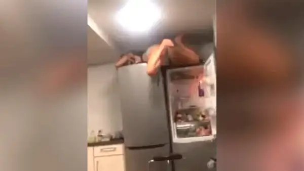 YouTube: Mujer ebria intentó subirse a un refrigerador pero todo le sale mal [VIDEO]