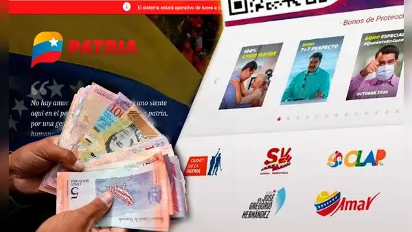 ¿Cómo agregar una cuenta bancaria en Patria para cobrar los bonos? Guía sencilla