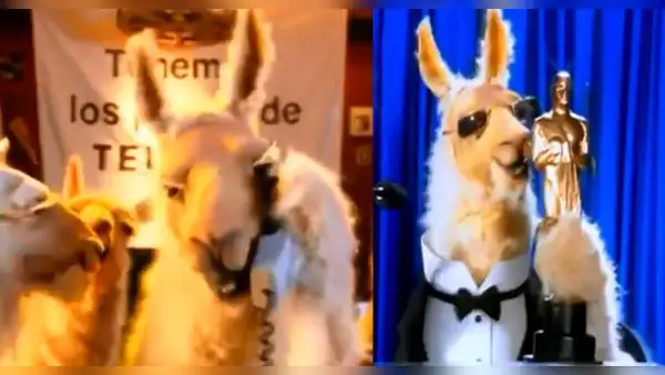 Facebook: “La llama que llama” se viraliza por ascenso de Cáceres Llica al Misti [VIDEO]