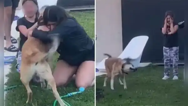 Niñas protagonizan un conmovedor reencuentro con su perro perdido hace dos meses [VIDEO]