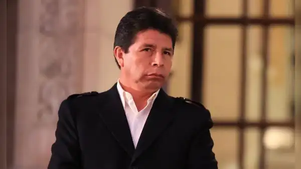 Pedro Castillo presionó para favorecer a empresa Marka Group