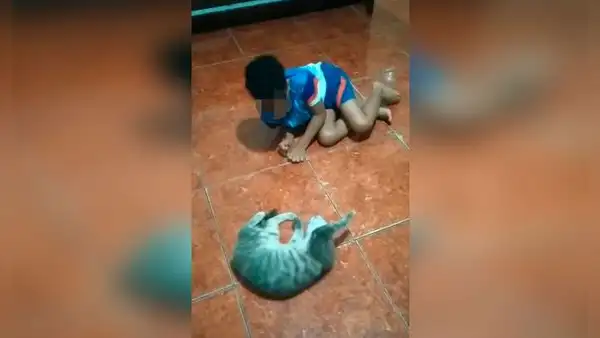 Deja a su hijo junto con su gato y al volver los capta en una tierna escena