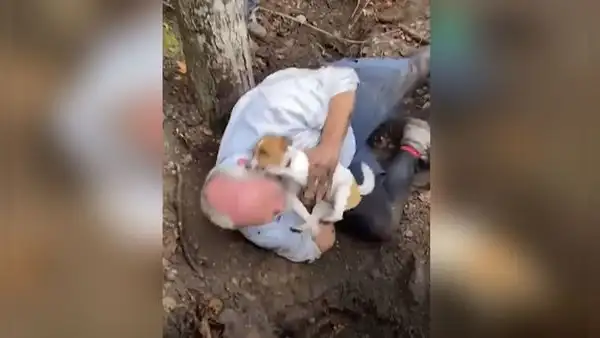 Hombre tiene emotiva reacción al reencontrarse con su perrita extraviada [VIDEO]