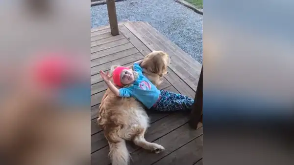 Mujer deja a su hija junto a su perro y al regresar los encuentra en una emotiva escena [VIDEO] 