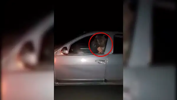 Vía Facebook: pareja es captada teniendo sexo a 70 km/h en carretera