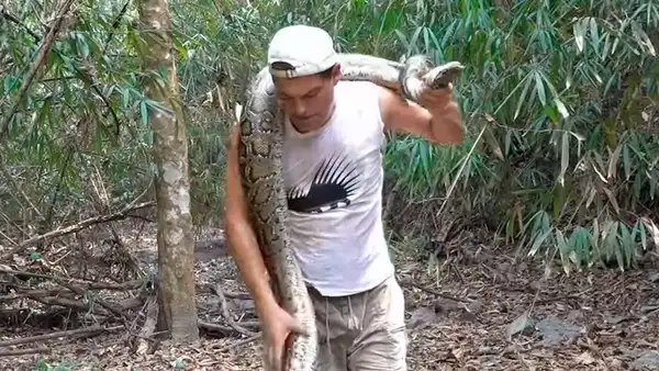 Enorme pitón ataca a youtuber luego de que este la enroscara en su cuello [VIDEO]