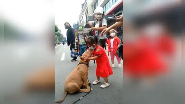 Niña conoce a un perro en la calle y se aferra a él para quedarse a su lado
