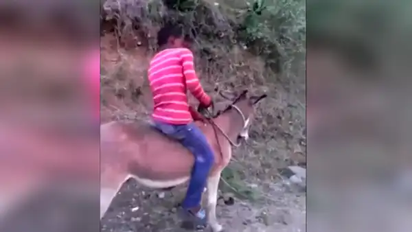 YouTube: niño se acerca a su burro, lo monta y ambos huyen a toda velocidad [VIDEO] 
