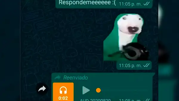 WhatsApp: así puedes tener el ‘sticker con sonido’ del perro que golpea una sartén