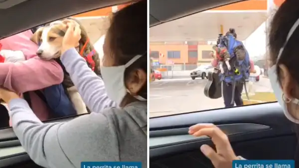 Artista callejero carga a su perro mientras trabaja y joven tiene un noble gesto al darle comida y agua [VIDEO]