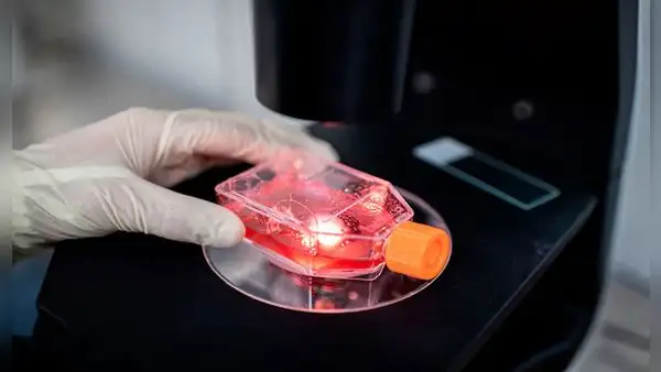 Chile comienza el ensayo de vacuna china contra el coronavirus [VIDEO]