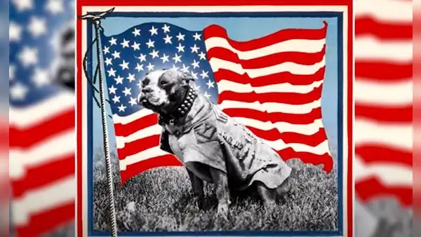 Conoce a Stubby, el perro que fue condecorado como sargento durante la Primera Guerra Mundial [VIDEO]