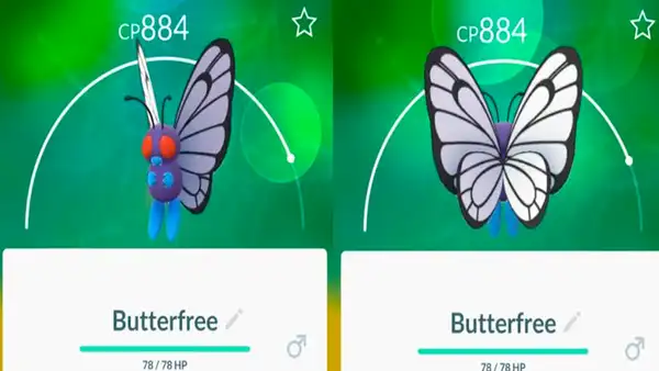 Difunden teoría que sostiene que el Butterfree rosa que enamoró al Butterfree de Ash era macho [FOTOS]