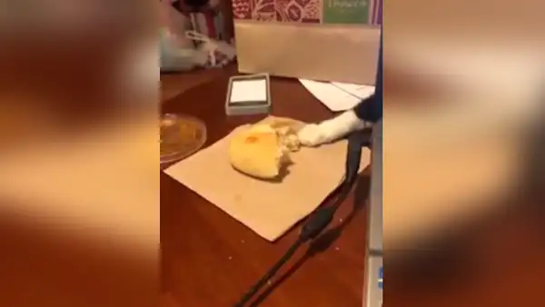 Hombre descubre al ‘ladrón’ que todos los días le roba su pan y no puede creerlo [VIDEO] 