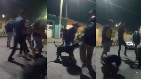 Jóvenes ‘poguean’ escuchando metal y perro callejero se une a la ‘fiesta’ [VIDEO]