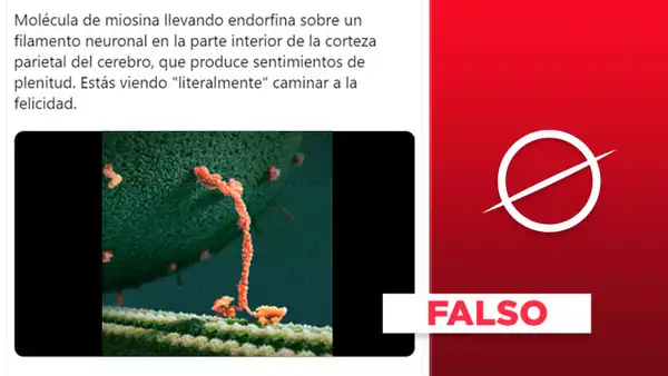 No es cierto que el video muestre “literalmente caminar a la felicidad"