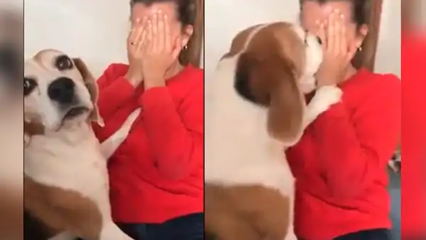 Facebook: mujer finge llorar frente a su perro y este tiene emotiva reacción [VIDEO]
