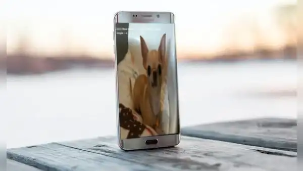 ¿Sabías que los teléfonos Samsung tienen escondidos una foto de un perro? Así puedes encontrarlo