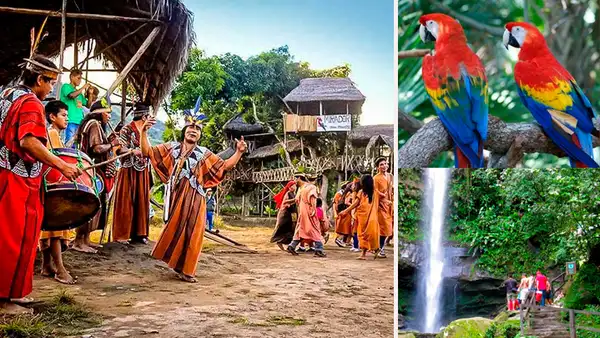 Descubre los fascinantes destinos de la selva en este feriado largo [FOTOS]