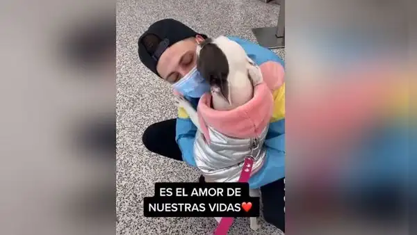 Joven se reencuentra con su perrita y juntas protagonizan emotiva escena