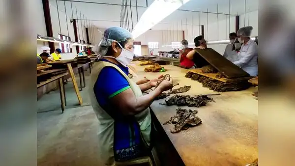 Trabajadores en suspensión perfecta tienen derecho al pago de gratificación por Fiestas Patrias