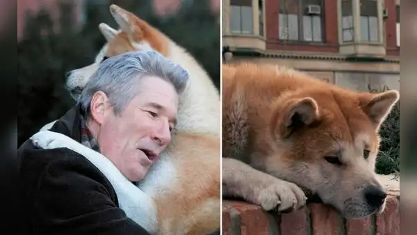 ‘Siempre a tu lado, Hachiko’: la película basada en el perro más fiel de la historia
