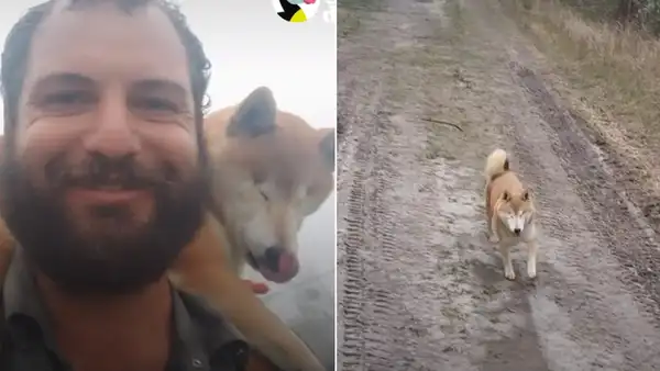 Hombre viaja a pie junto a su perrita ciega y la carga por más de 1.000 kilómetros [VIDEO]