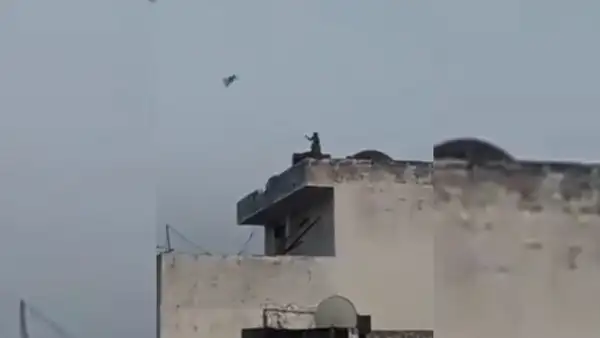 Mono es grabado volando una cometa en el techo  de un edificio [VIDEO]