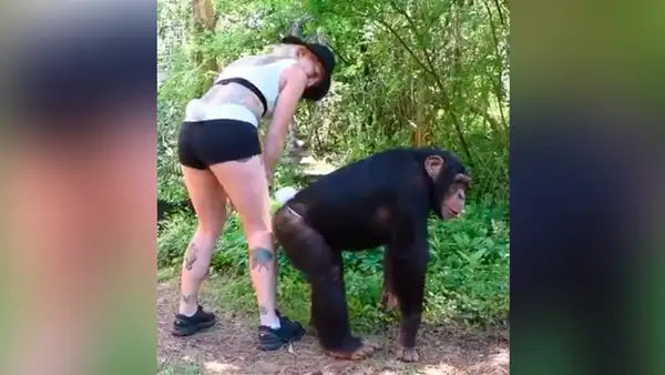 YouTube viral: joven mujer realiza atrevido baile, mono la imita y final conmueve [VIDEO]