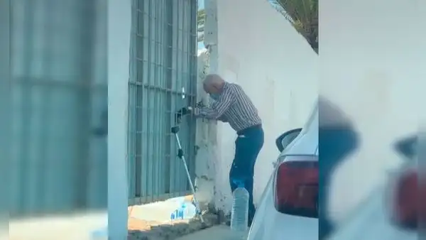 Anciano va todos los días a una casa abandonada para darle agua y comida a un gato [VIDEO]