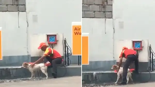 Grifero deja su trabajo para bañar a perrito callejero [VIDEO]