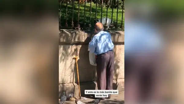 Anciano va todos los días a una universidad para alimentar a los gatos que viven ahí [VIDEO]