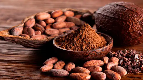 El poder del cacao: siete beneficios que aportan a la salud