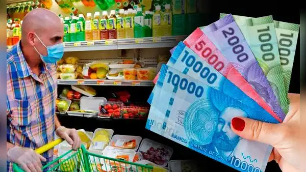 Bono Canasta Básica Chile 2023: revisa con tu RUT si serás beneficiario este año