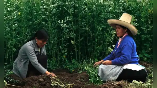Netflix: El documental peruano ‘Hija de la laguna’ se estrena en el servicio