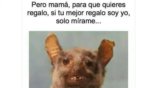 Día de la Madre: divierte a mamá con los memes más creativos para reír en su día [FOTOS]