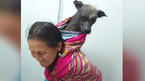 Conmovedora imagen de mujer llevando a su ‘bebé’ perruno en una manta andina cautiva al Cusco 