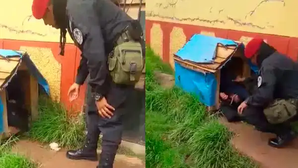 Facebook: Joven ebrio le quitó casa a perro para poder dormir [VIDEO]