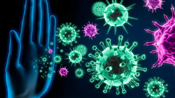 Inmunidad innata e inmunidad adquirida: ¿qué son y cómo responden frente al coronavirus?