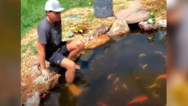 Facebook: Peligrosa criatura casi arrastra a sujeto que metió sus manos en un estanque [VIDEO]