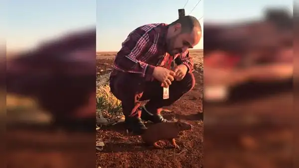 Armadillo sediento se para en medio de la carretera para ‘pedir’ agua a conductor [VIDEO]