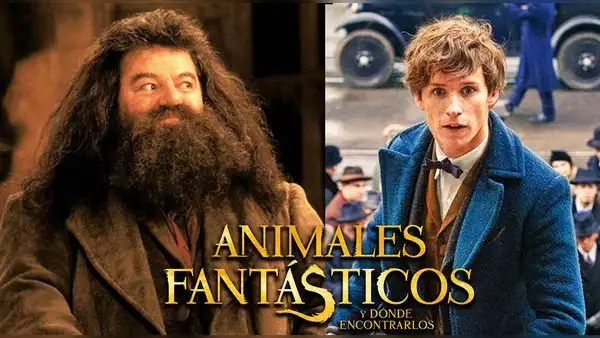 Animales fantásticos 3 podría presentar a Hagrid y personajes originales de Harry Potter