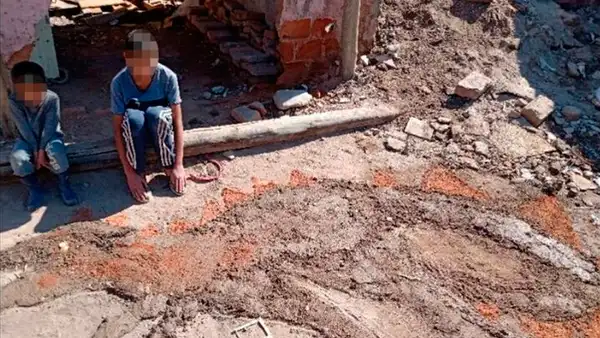 Profesora pide hacer la tarea “con lo que tengan en casa” y estudiante impresiona con su trabajo 